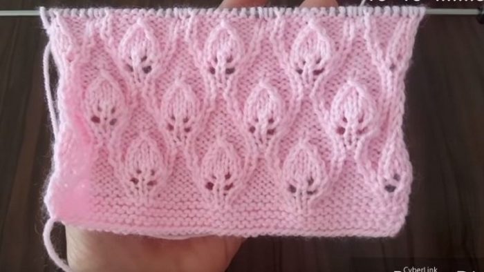 Çerçeveli Yapraklar Örgü Modeli