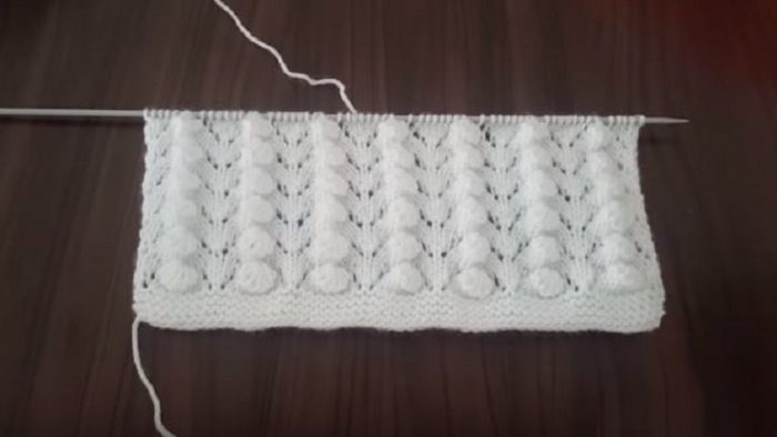 İstiridye Göçü Örgü Modeli