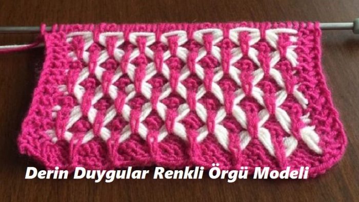 Derin Duygular Renkli Örgü Modeli