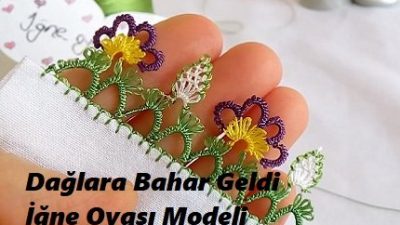 Dağlara Bahar Geldi İğne Oyası Modeli